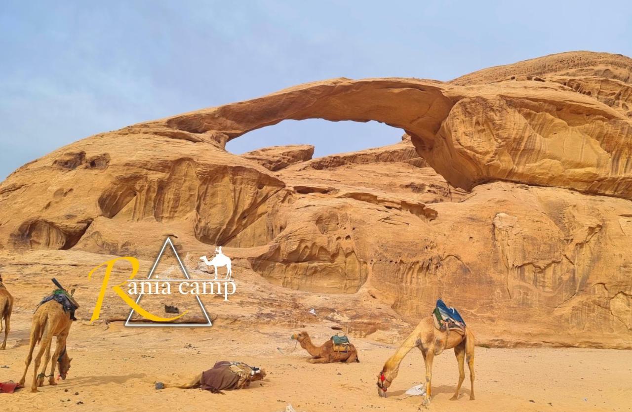 Wadi Rum,Rania Camp Kültér fotó