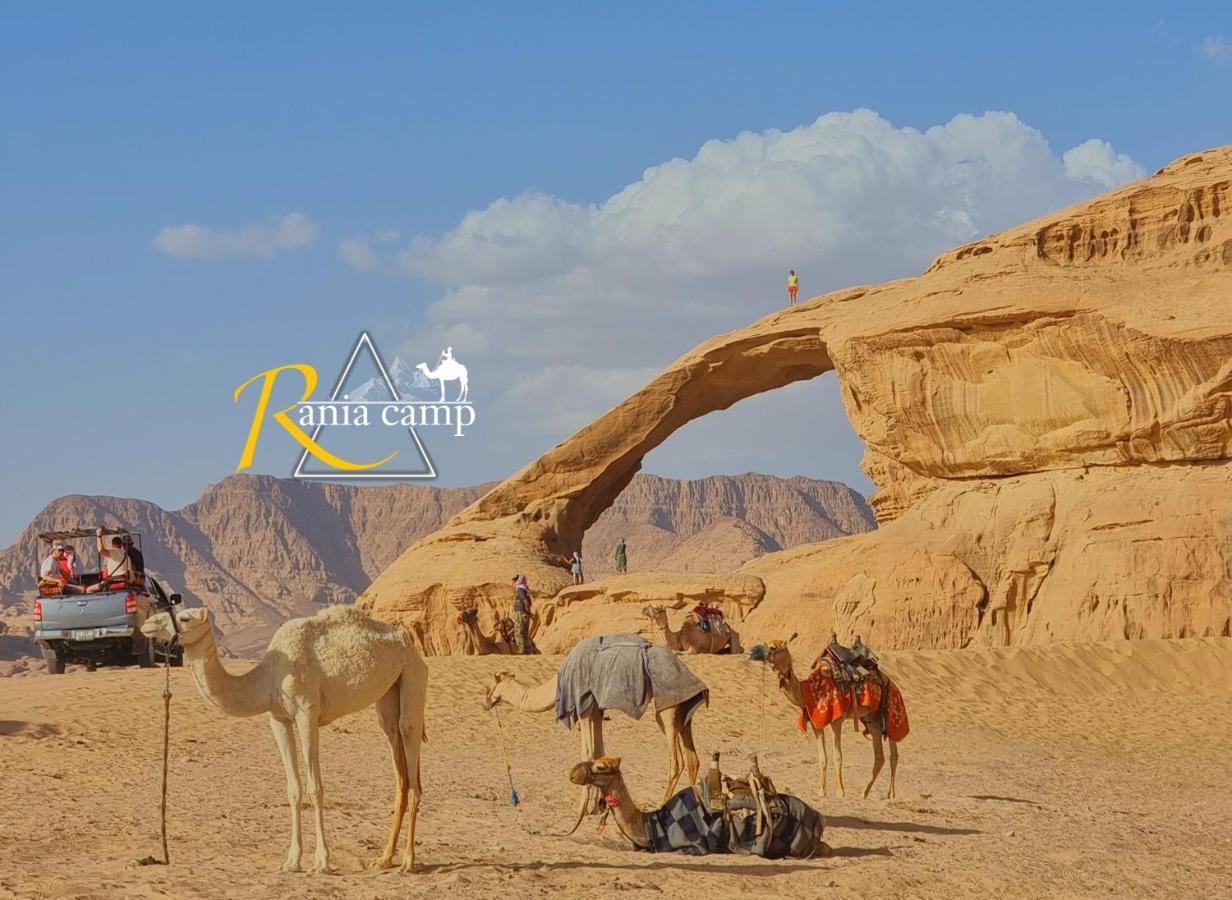 Wadi Rum,Rania Camp Kültér fotó