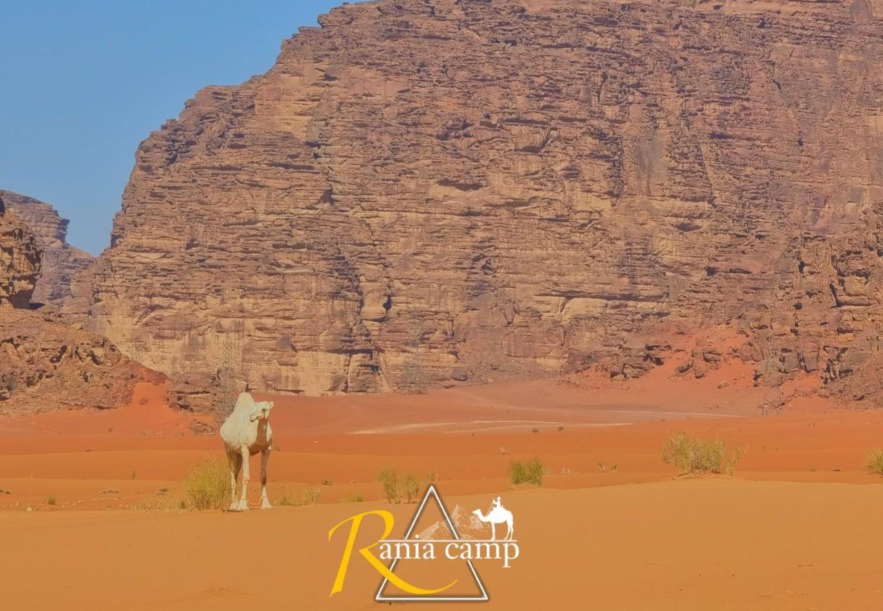 Wadi Rum,Rania Camp Kültér fotó